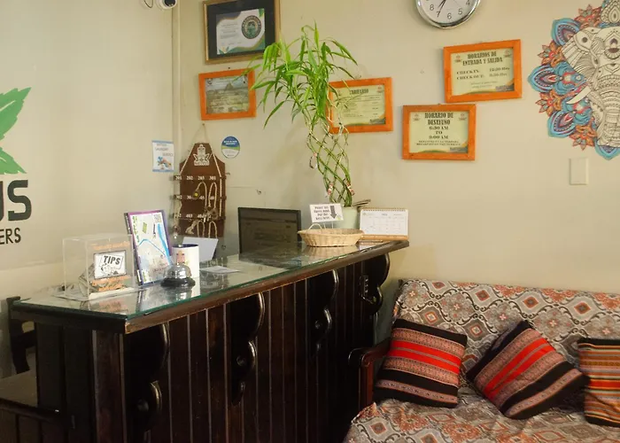 Albergue Nativus Machu Picchu